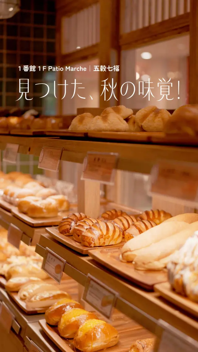 “食欲の秋”に楽しみたい五穀七福のパン🍞

種類豊富で体にもやさしいパンが朝早くから店頭に並びます✨
モーニング・ランチタイムはそれぞれセットメニューも◎

美味しいパンとドリンクで、秋の味覚を存分に楽しみましょう♪

======================
◎栗あんたっぷりペストリー ¥195（税込）
◎紅はるかのスイートポテト ¥249（税込）
◎焼き栗のミニパイ ¥173（税込）
◎キャラメルマキアート(ホット) ¥374（税込）

※イートインはワンドリンク制です。

＊＊＊
＼店頭にて、秋の収穫祭開催中🍁／
五穀七福

📍１番館１F Patio Marche
🕰平日｜8:00-20:30 イートイン20:00(L.O.19:30)
土日祝｜8:00～20:00 イートイン20:00(L.O.19:30)

#須磨パティオ
#五穀七福
#パン
#食欲の秋
#秋の味覚